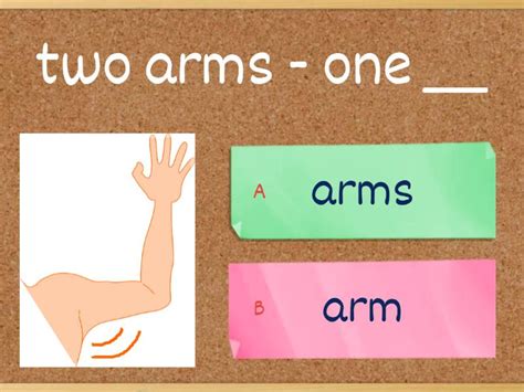 (plural) Duplicate parts .